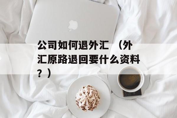 公司如何退外汇 （外汇原路退回要什么资料？）