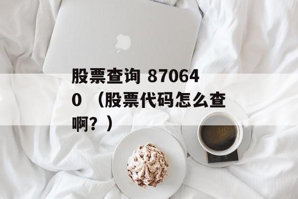 股票查询 870640 （股票代码怎么查啊？）