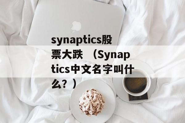 synaptics股票大跌 （Synaptics中文名字叫什么？）