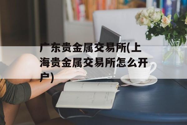 广东贵金属交易所(上海贵金属交易所怎么开户)