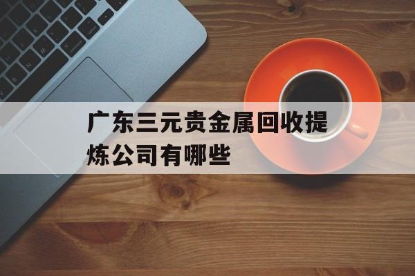 广东三元贵金属回收提炼公司有哪些