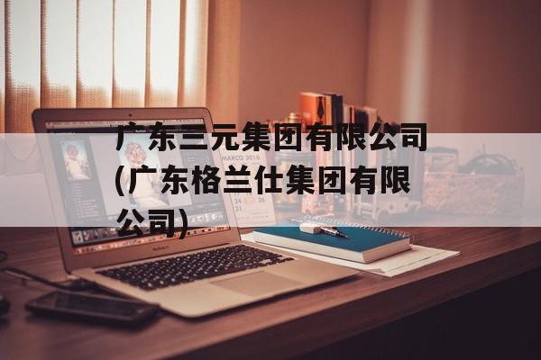 广东三元集团有限公司(广东格兰仕集团有限公司)