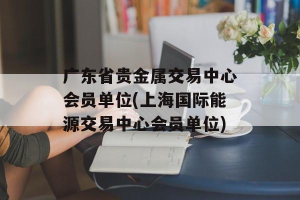 广东省贵金属交易中心会员单位(上海国际能源交易中心会员单位)