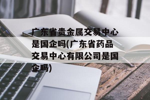 广东省贵金属交易中心是国企吗(广东省药品交易中心有限公司是国企吗)