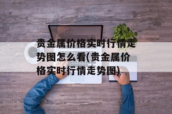 贵金属价格实时行情走势图怎么看(贵金属价格实时行情走势图)