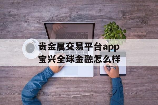 贵金属交易平台app宝兴全球金融怎么样