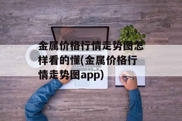 金属价格行情走势图怎样看的懂(金属价格行情走势图app)