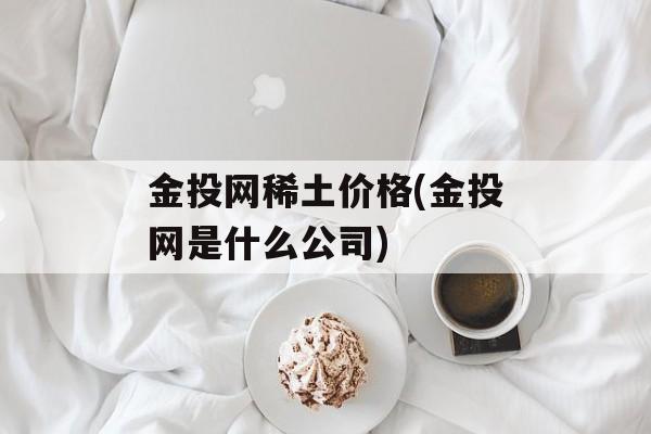 金投网稀土价格(金投网是什么公司)