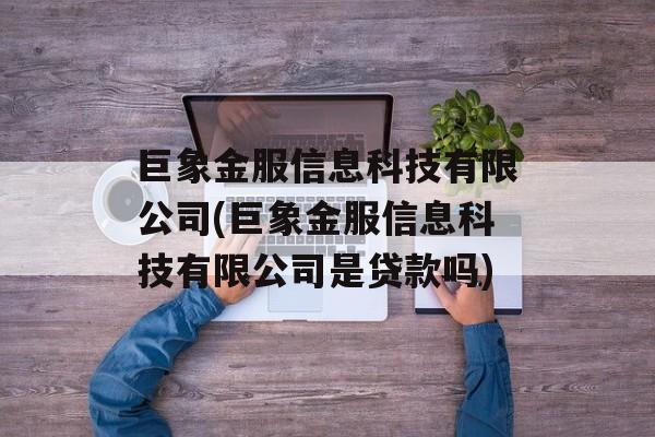 巨象金服信息科技有限公司(巨象金服信息科技有限公司是贷款吗)