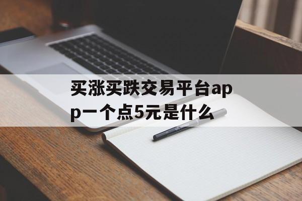 买涨买跌交易平台app一个点5元是什么