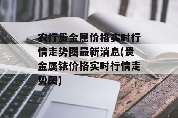 农行贵金属价格实时行情走势图最新消息(贵金属铱价格实时行情走势图)