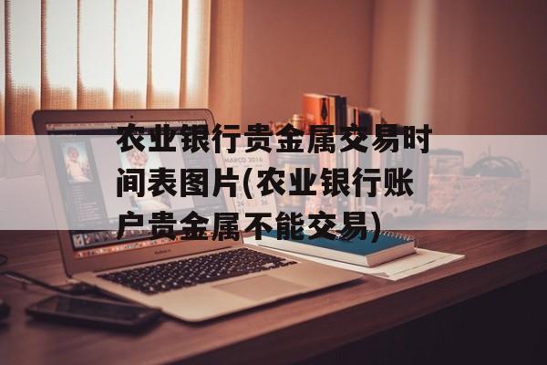 农业银行贵金属交易时间表图片(农业银行账户贵金属不能交易)