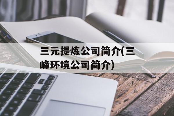 三元提炼公司简介(三峰环境公司简介)