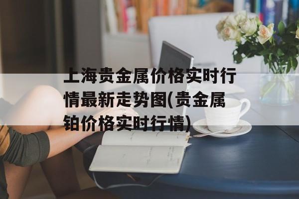 上海贵金属价格实时行情最新走势图(贵金属铂价格实时行情)