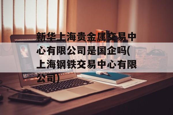 新华上海贵金属交易中心有限公司是国企吗(上海钢铁交易中心有限公司)