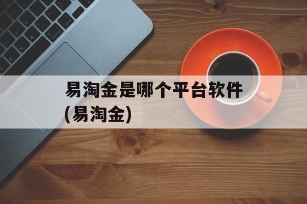 易淘金是哪个平台软件(易淘金)