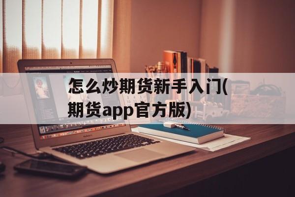 怎么炒期货新手入门(期货app官方版)