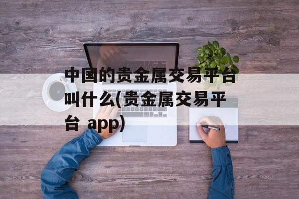 中国的贵金属交易平台叫什么(贵金属交易平台 app)