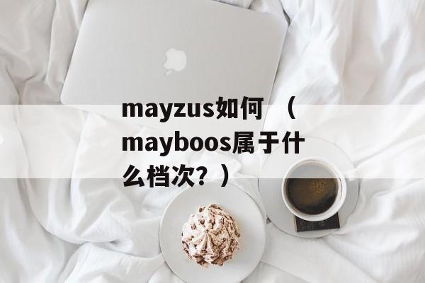 mayzus如何 （mayboos属于什么档次？）