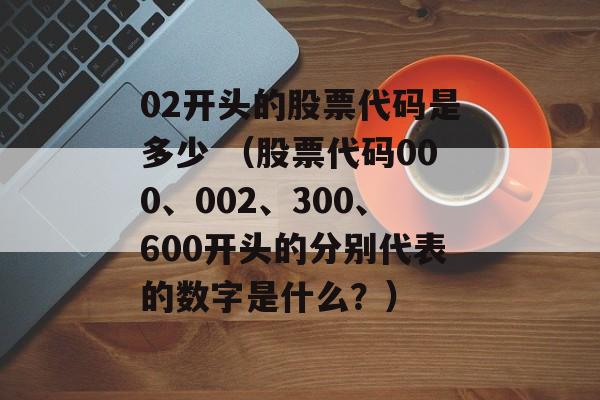 02开头的股票代码是多少 （股票代码000、002、300、600开头的分别代表的数字是什么？）