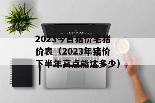 2023今日猪价毛猪价表（2023年猪价下半年高点能达多少）