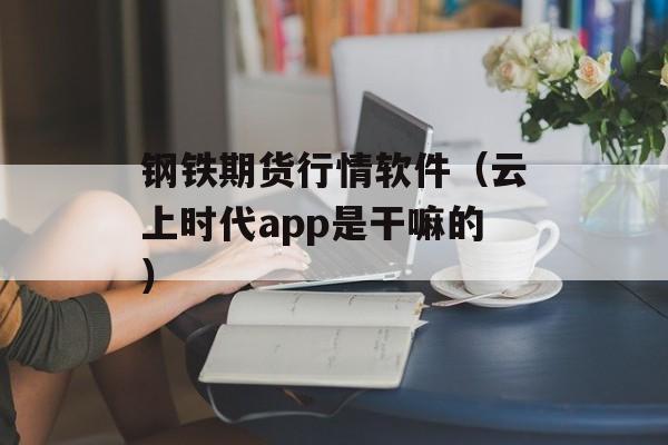 钢铁期货行情软件（云上时代app是干嘛的）