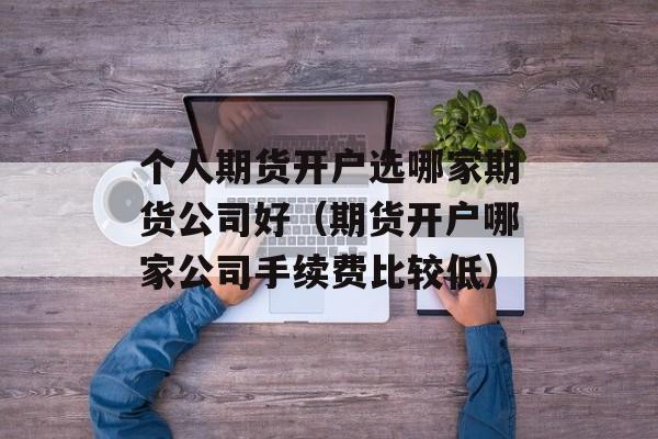 个人期货开户选哪家期货公司好（期货开户哪家公司手续费比较低）