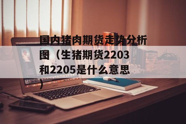 国内猪肉期货走势分析图（生猪期货2203和2205是什么意思）