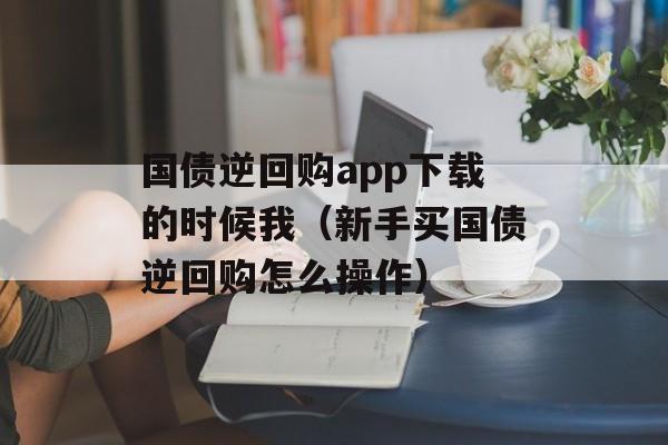 国债逆回购app下载的时候我（新手买国债逆回购怎么操作）