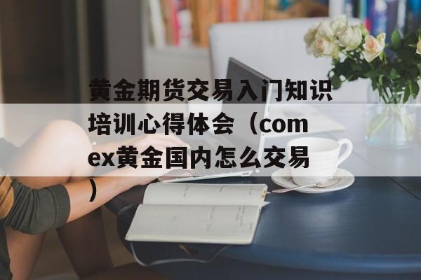 黄金期货交易入门知识培训心得体会（comex黄金国内怎么交易）