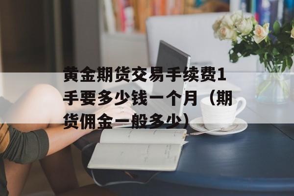 黄金期货交易手续费1手要多少钱一个月（期货佣金一般多少）