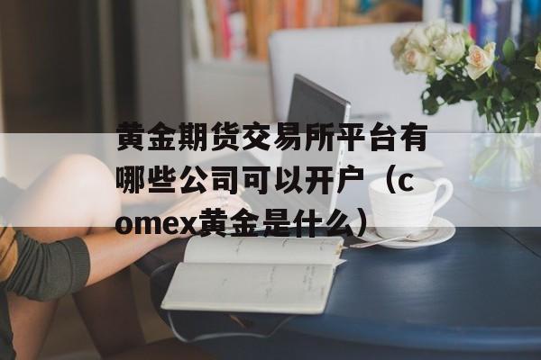 黄金期货交易所平台有哪些公司可以开户（comex黄金是什么）