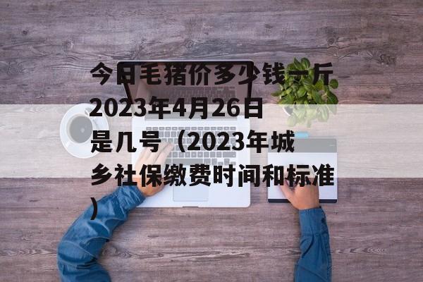 今日毛猪价多少钱一斤2023年4月26日是几号（2023年城乡社保缴费时间和标准）