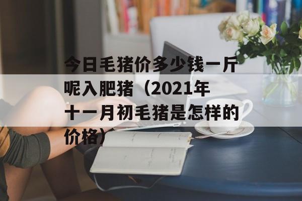 今日毛猪价多少钱一斤呢入肥猪（2021年十一月初毛猪是怎样的价格）