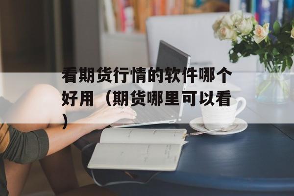 看期货行情的软件哪个好用（期货哪里可以看）