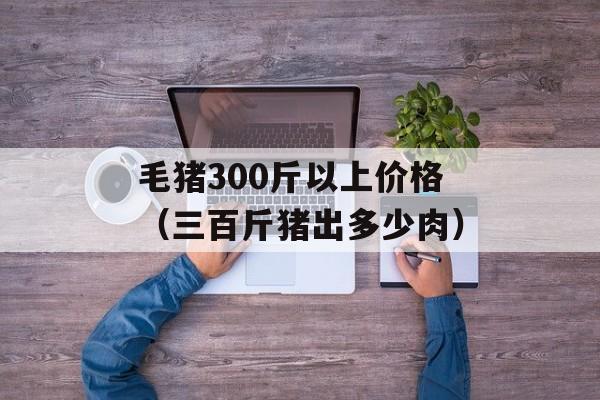 毛猪300斤以上价格（三百斤猪出多少肉）