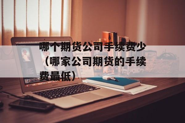 哪个期货公司手续费少（哪家公司期货的手续费最低）