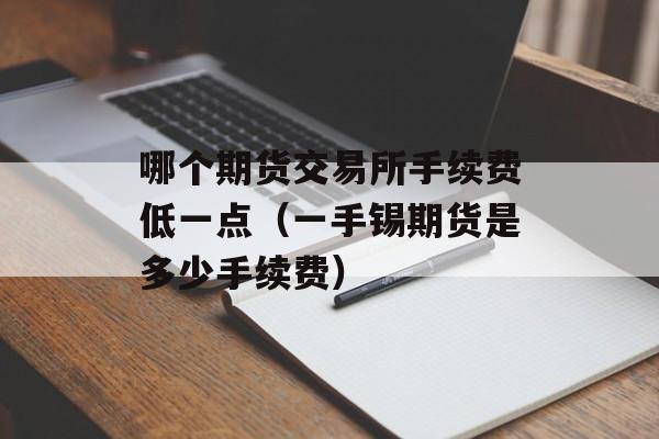 哪个期货交易所手续费低一点（一手锡期货是多少手续费）