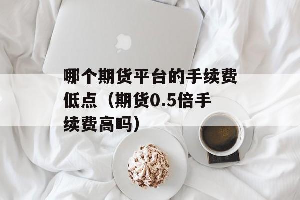 哪个期货平台的手续费低点（期货0.5倍手续费高吗）