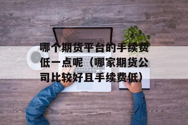 哪个期货平台的手续费低一点呢（哪家期货公司比较好且手续费低）