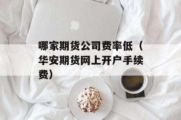 哪家期货公司费率低（华安期货网上开户手续费）