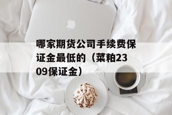 哪家期货公司手续费保证金最低的（菜粕2309保证金）