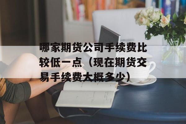 哪家期货公司手续费比较低一点（现在期货交易手续费大概多少）