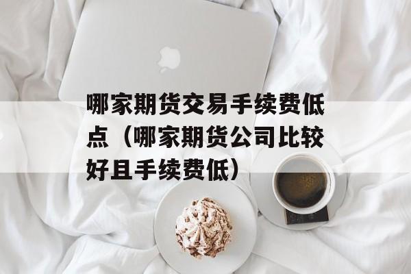 哪家期货交易手续费低点（哪家期货公司比较好且手续费低）