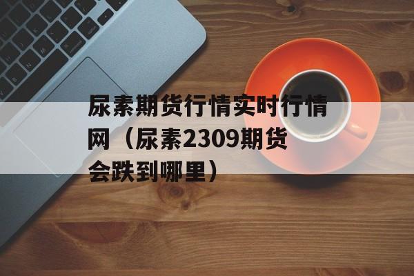 尿素期货行情实时行情网（尿素2309期货会跌到哪里）