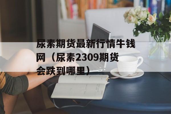 尿素期货最新行情牛钱网（尿素2309期货会跌到哪里）