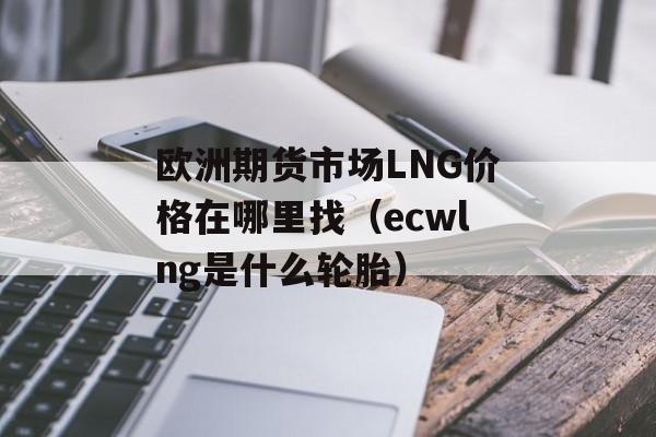 欧洲期货市场LNG价格在哪里找（ecwlng是什么轮胎）