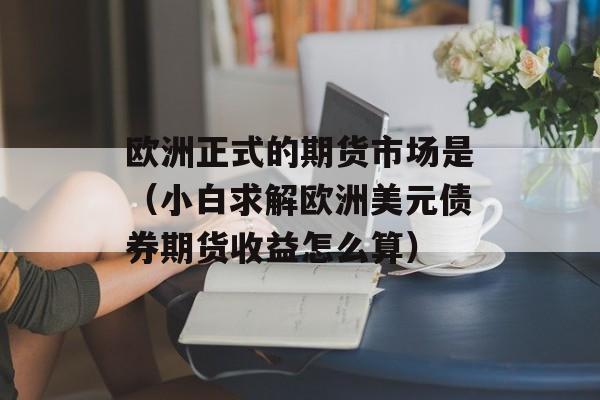 欧洲正式的期货市场是（小白求解欧洲美元债券期货收益怎么算）