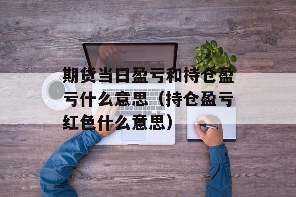 期货当日盈亏和持仓盈亏什么意思（持仓盈亏红色什么意思）