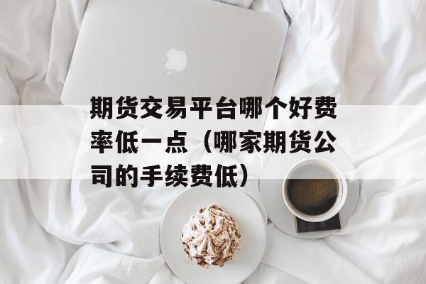 期货交易平台哪个好费率低一点（哪家期货公司的手续费低）